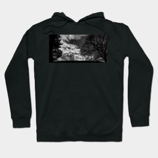 Silhouettes On A Jesmond Dene Foot Bridge Hoodie